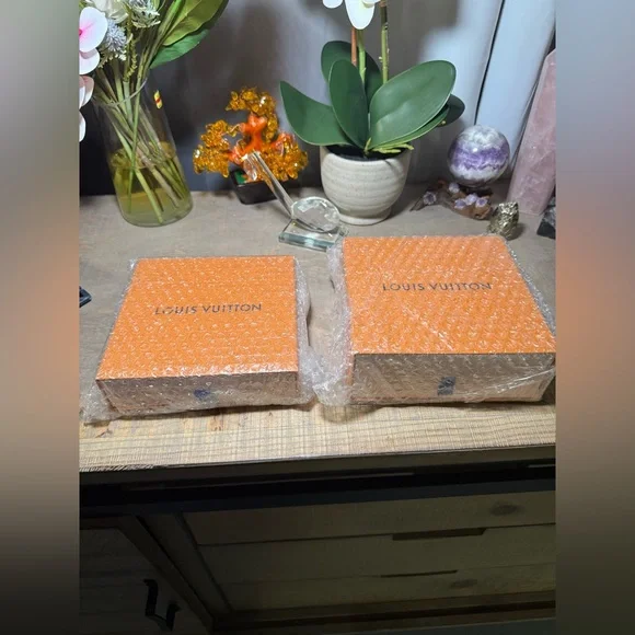 Louis Vuitton Orange Storage Bags